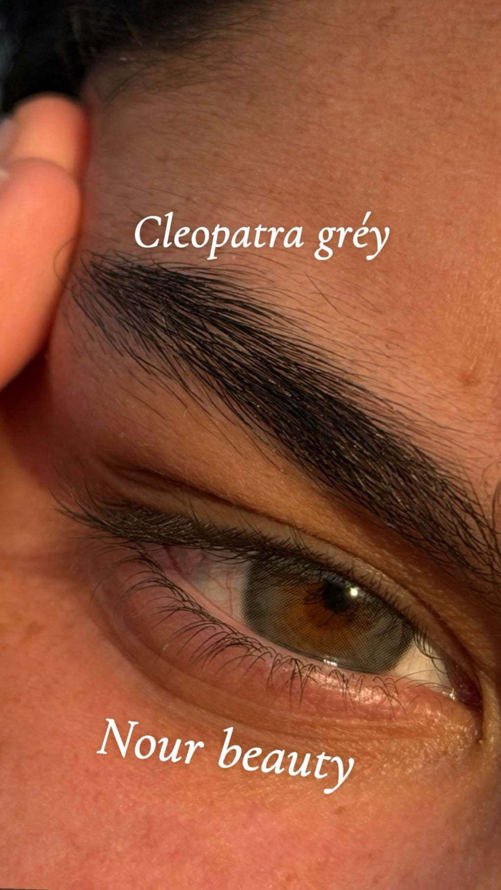 CLEOPATRA GREY